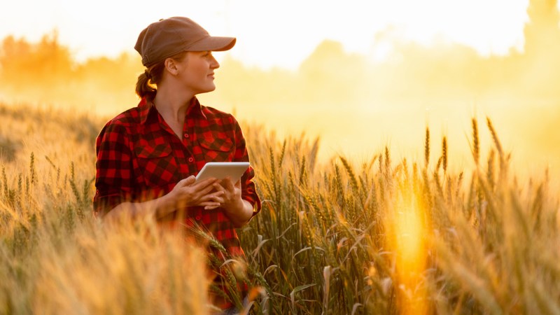 Farming data: new tech delivers results
