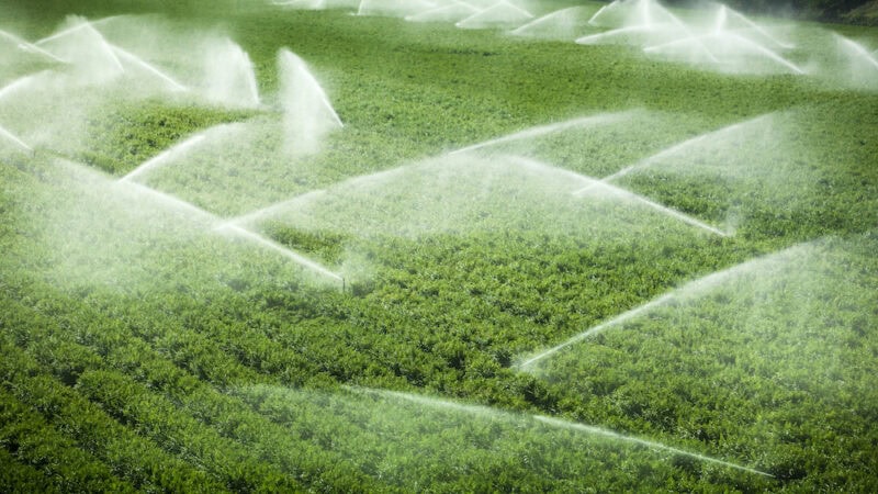 NSWF takes the lead in tackling spray drift