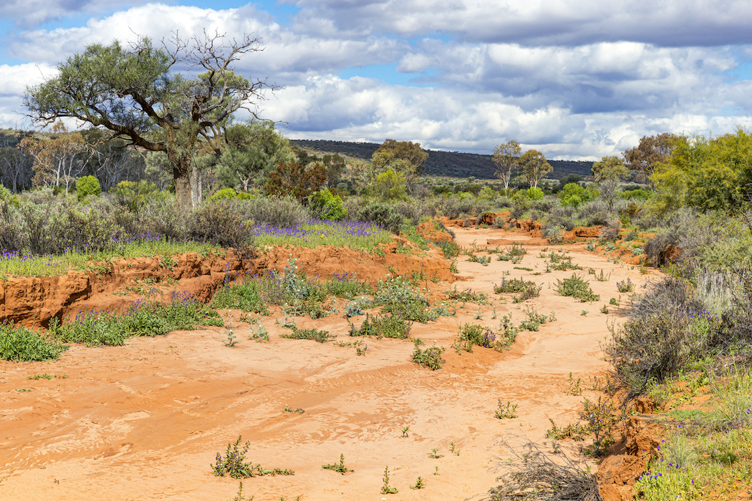 NSW Govt announces drought fund for communities