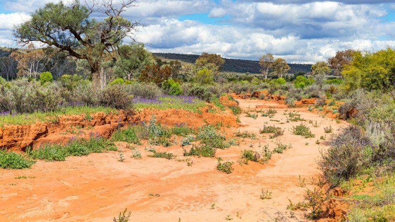 NSW Govt announces drought fund for communities