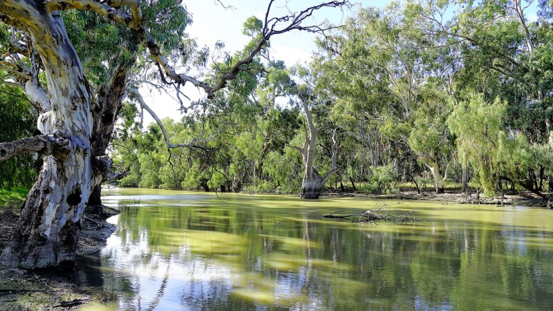 Farmers push back against proposed changes to the Murray-Darling Basin Plan