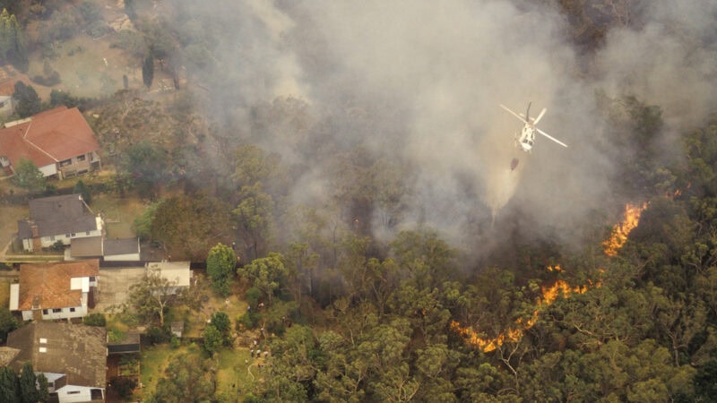 Bushfire appeal for fire-impacted communities