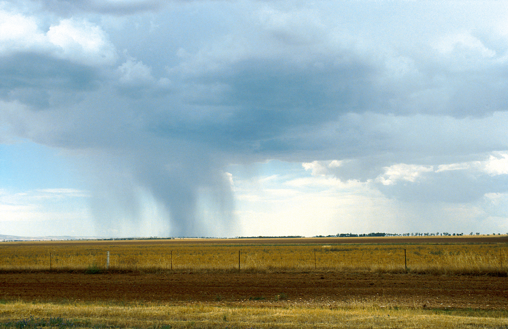 El Niño defies predictions: rainfall revitalises farms