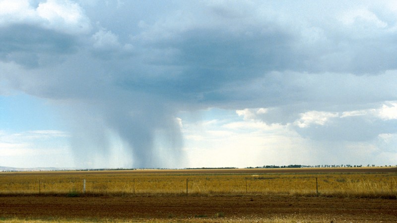 El Niño defies predictions: rainfall revitalises farms