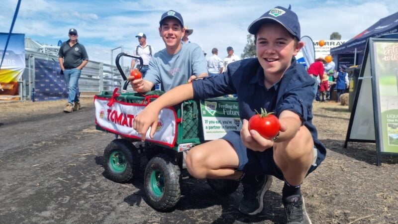 Keeping it in the family: the story of Chester’s Tomatoes