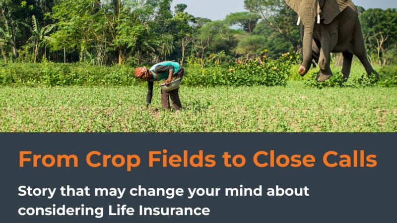 From Crop Fields to Close Calls