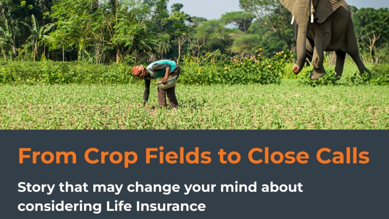From Crop Fields to Close Calls