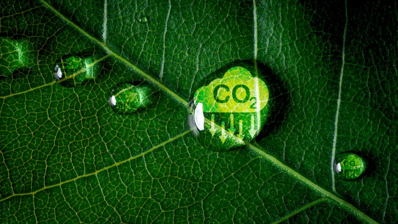 Ruminati: a farmer-led carbon emissions calculator