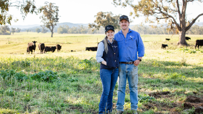 Building drought resilience from the feedlot